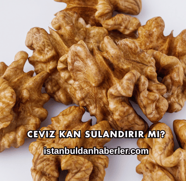 Ceviz Kan Sulandırır mı?