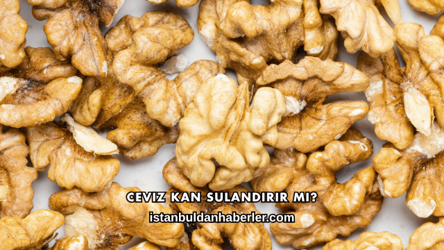 Ceviz Kan Sulandırır mı?