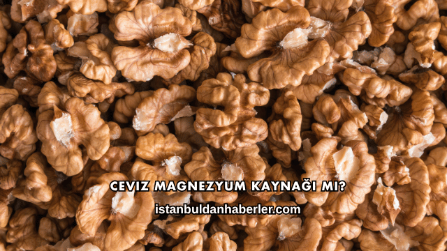 Ceviz Magnezyum Kaynağı mı?