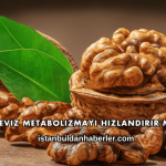 Ceviz Metabolizmayı Hızlandırır mı?