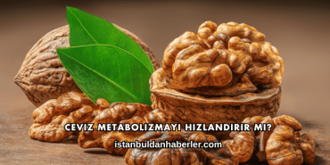 Ceviz Metabolizmayı Hızlandırır mı?