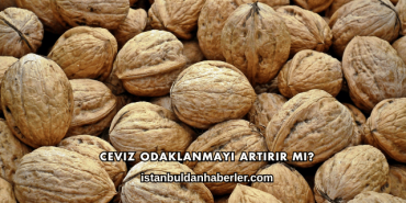 Ceviz Odaklanmayı Artırır mı?