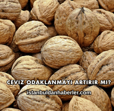 Ceviz Odaklanmayı Artırır mı?