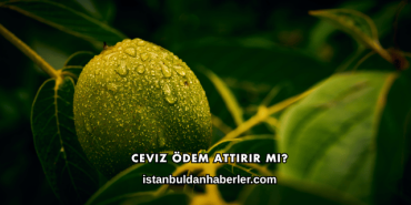 Ceviz Ödem Attırır mı?
