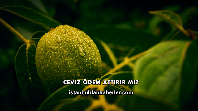 Ceviz Ödem Attırır mı?