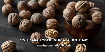 Ceviz Sabah Yorgunluğa İyi Gelir mi?