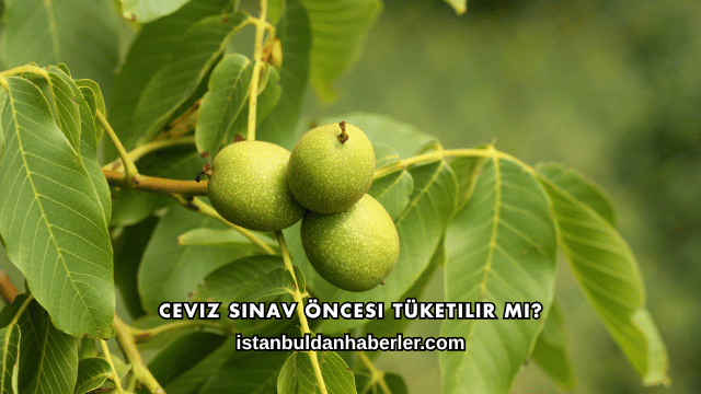 Ceviz Sınav Öncesi Tüketilir mi?