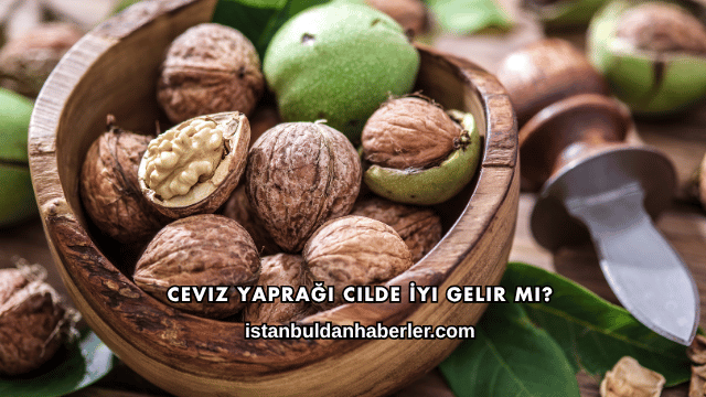 Ceviz Yaprağı Cilde İyi Gelir mi?