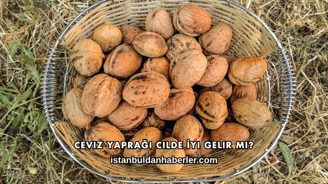 Ceviz Yaprağı Cilde İyi Gelir mi?