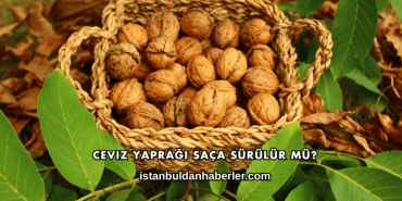 Ceviz Yaprağı Saça Sürülür mü?