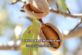 Diyette Badem Yenir mi?