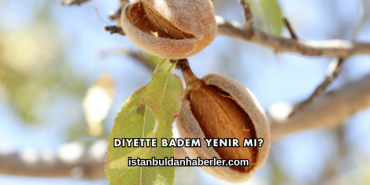 Diyette Badem Yenir mi?