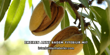 Emziren Anne Badem Yiyebilir mi?