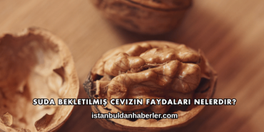 Suda Bekletilmiş Cevizin Faydaları Nelerdir?